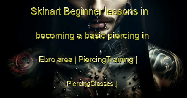 Skinart Beginner lessons in becoming a basic piercing in Ebro area | PiercingTraining | PiercingClasses | SkinartTraining-United States